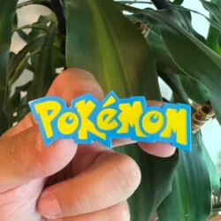 Pokemom Soft Enamel Pin - 2"